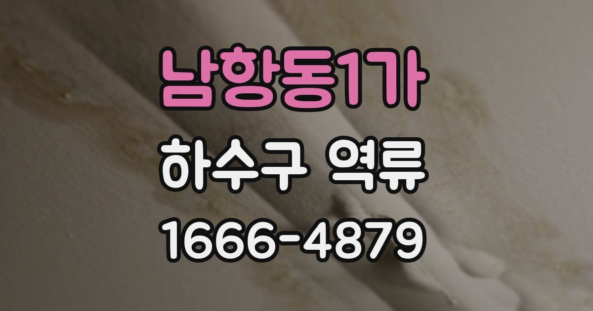 남항동1가 하수구 역류