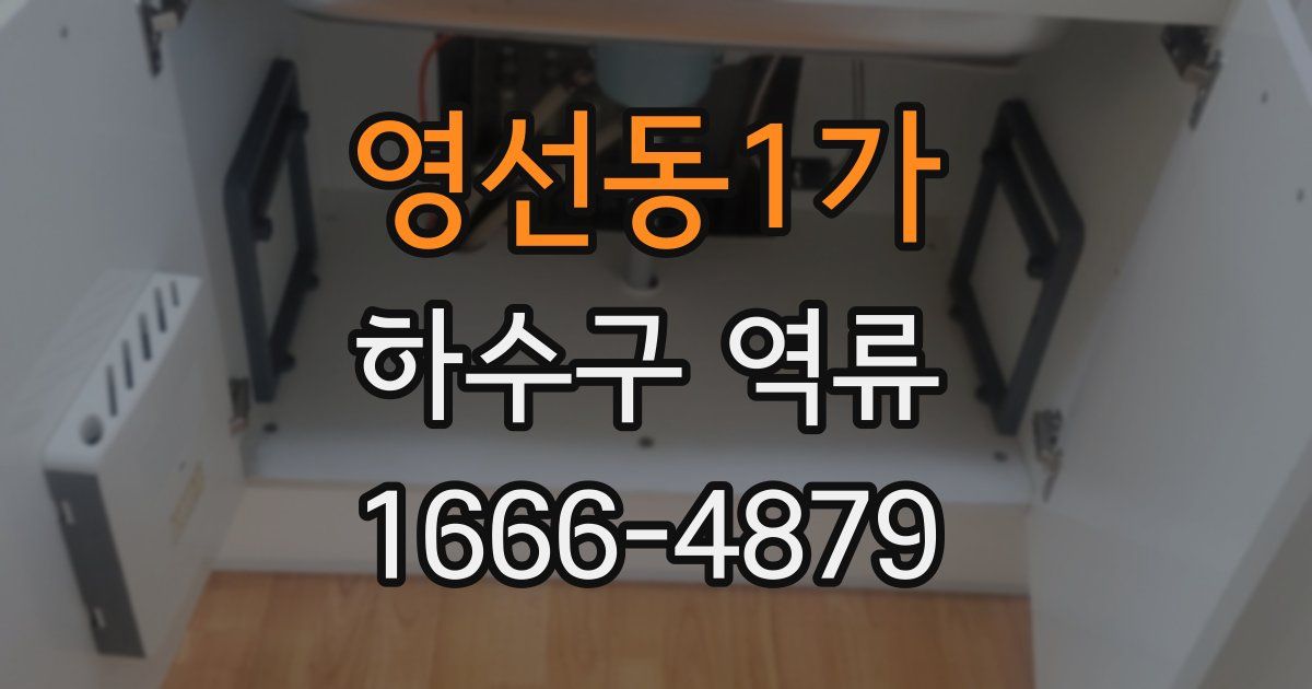영선동1가 하수구 역류