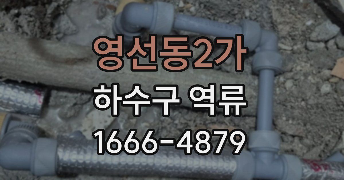 영선동2가 하수구 역류