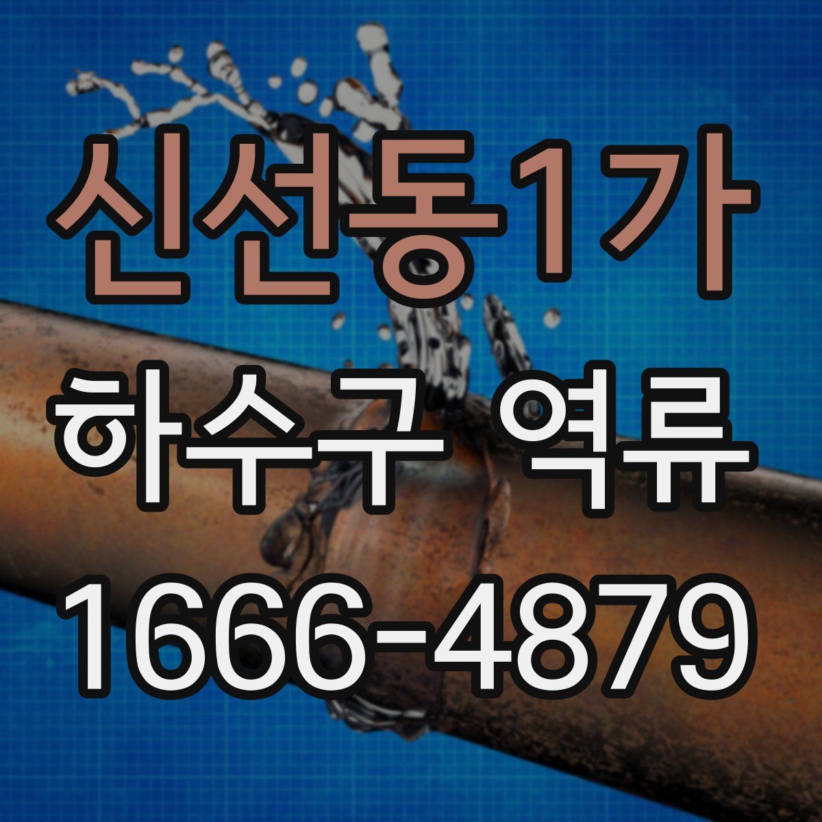 신선동1가 하수구 역류