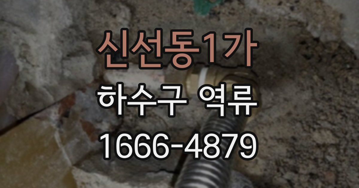 신선동1가 하수구 역류