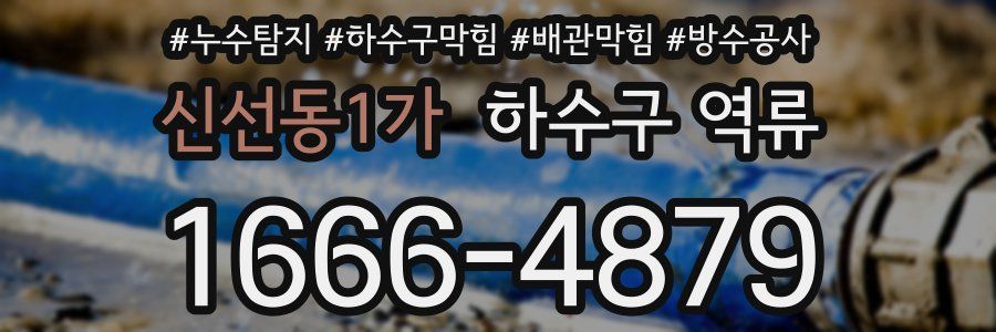 신선동1가 하수구 역류