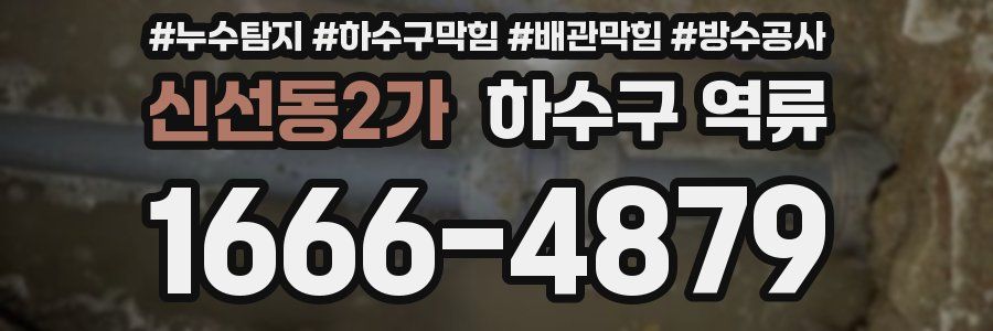 신선동2가 하수구 역류