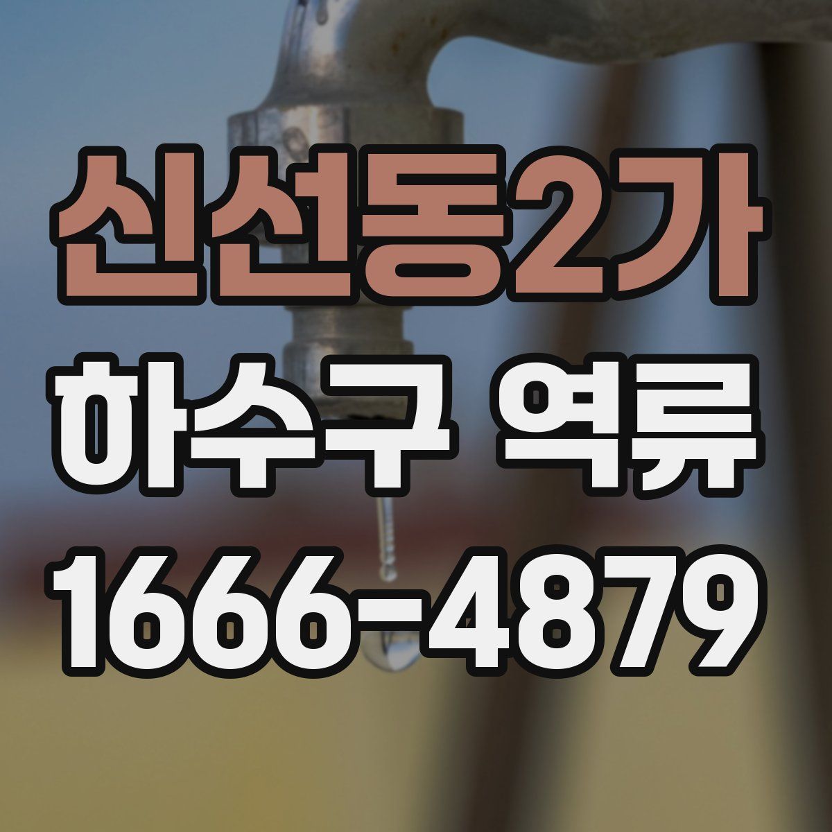 신선동2가 하수구 역류