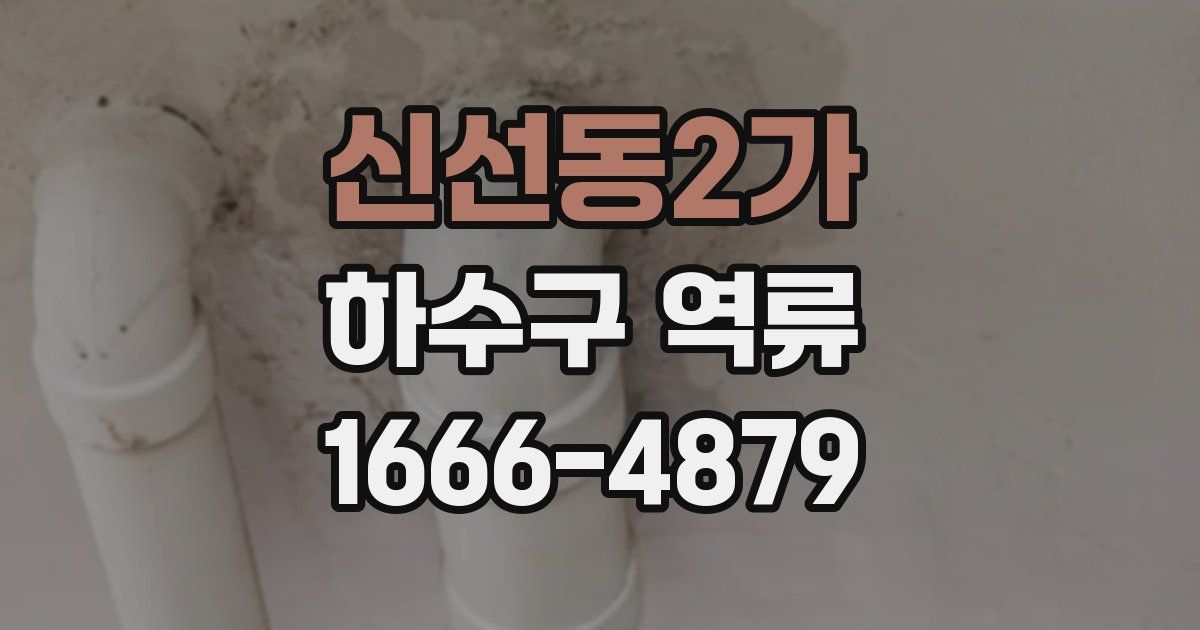 신선동2가 하수구 역류