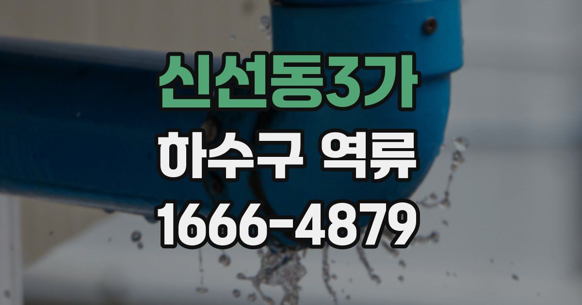신선동3가 하수구 역류