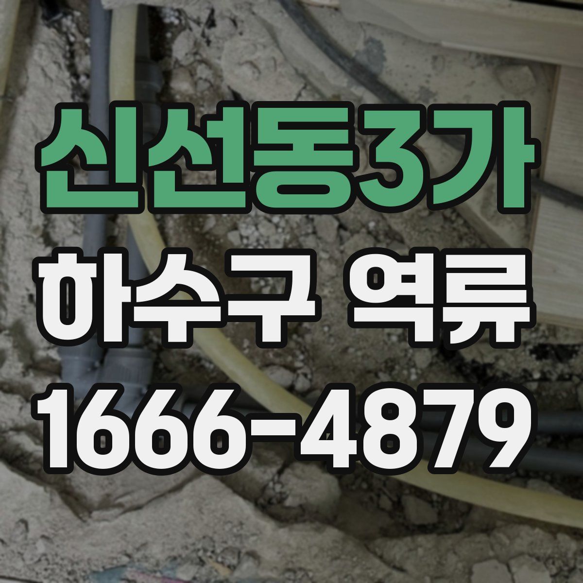 신선동3가 하수구 역류
