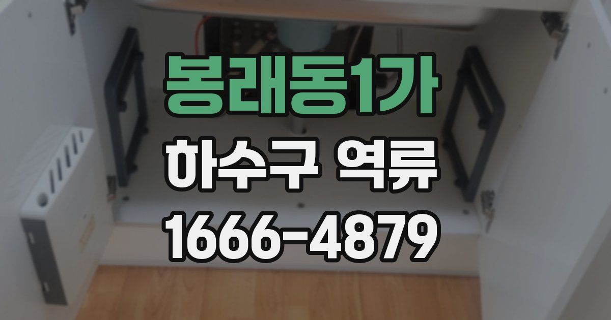 봉래동1가 하수구 역류