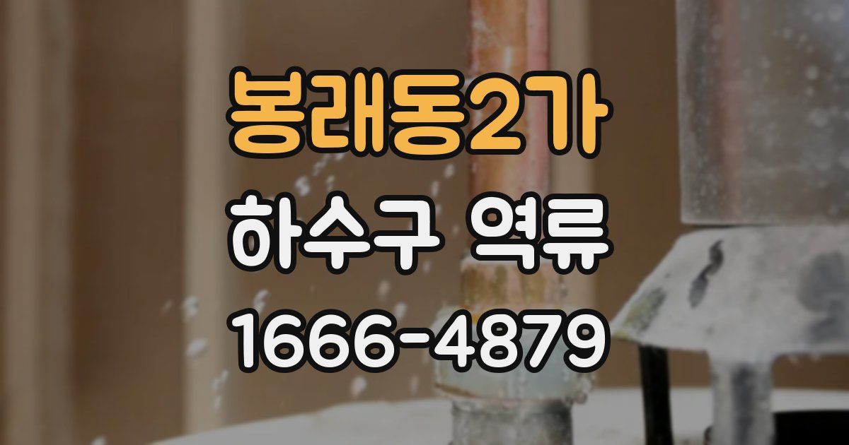 봉래동2가 하수구 역류