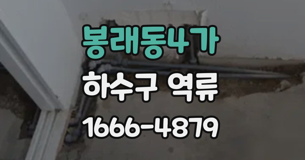 봉래동4가 하수구 역류