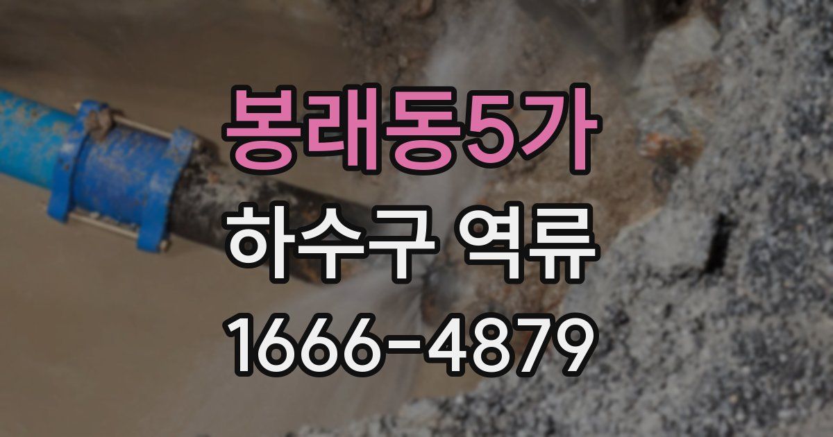 봉래동5가 하수구 역류