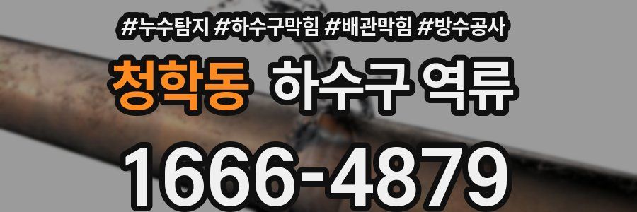 청학동 하수구 역류
