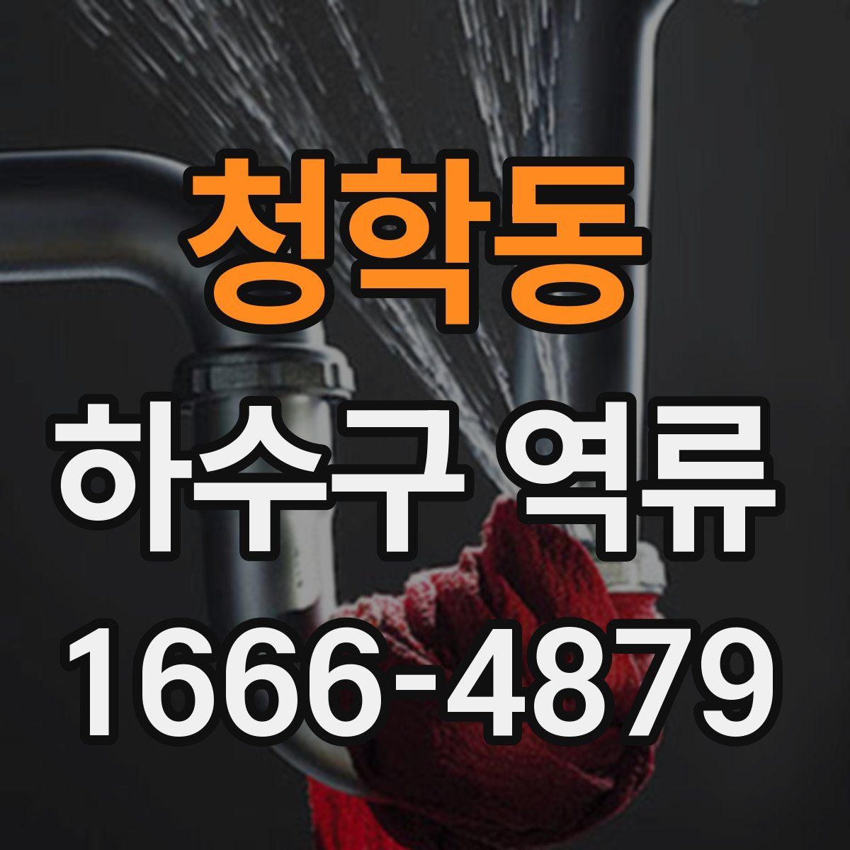 청학동 하수구 역류