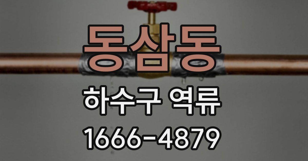 동삼동 하수구 역류
