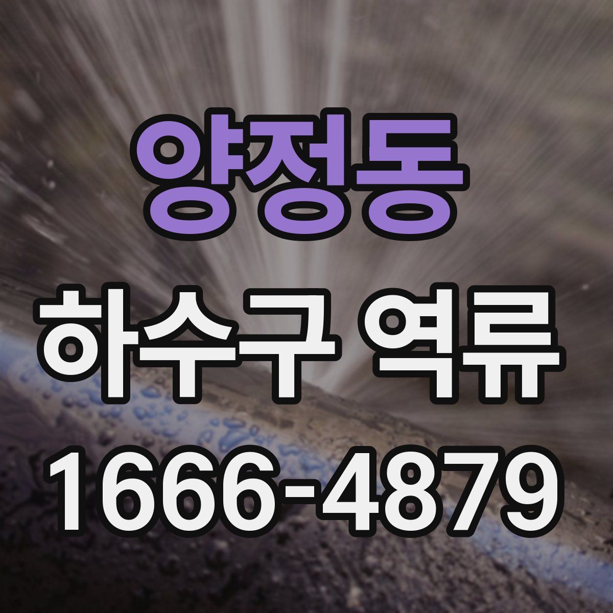 양정동 하수구 역류