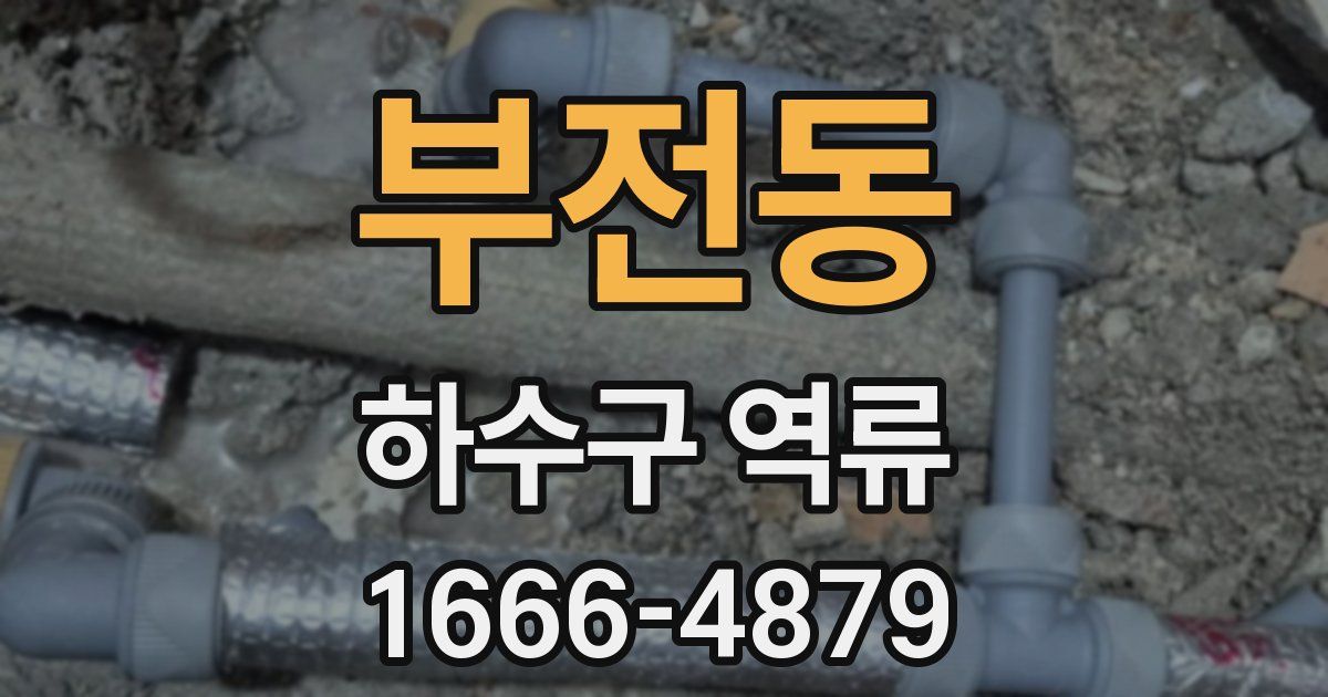 부전동 하수구 역류