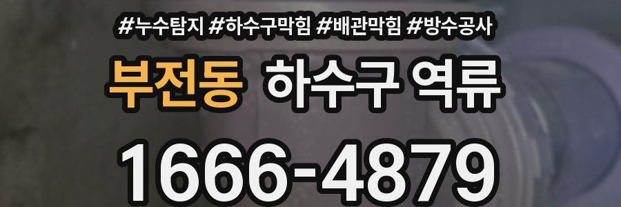부전동 하수구 역류