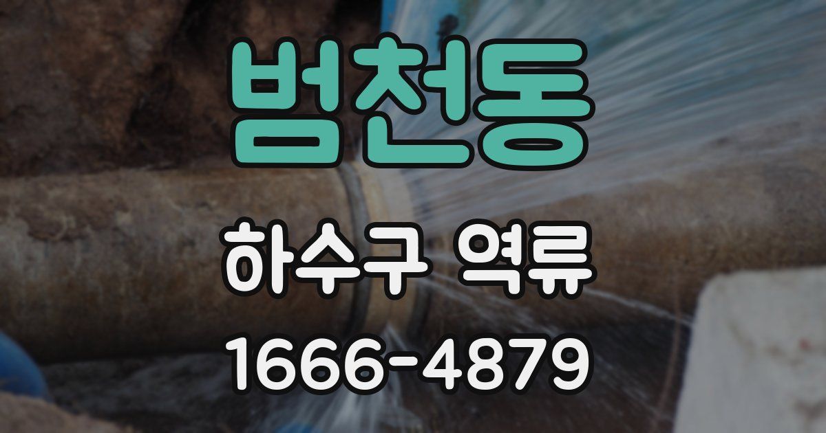 범천동 하수구 역류
