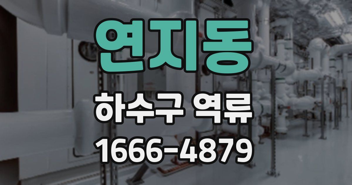 연지동 하수구 역류