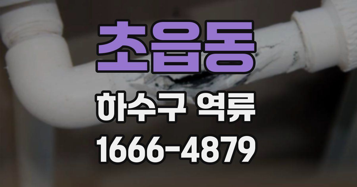 초읍동 하수구 역류