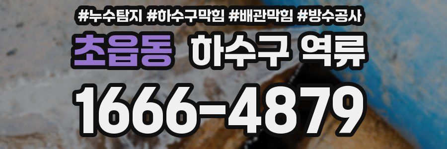 초읍동 하수구 역류