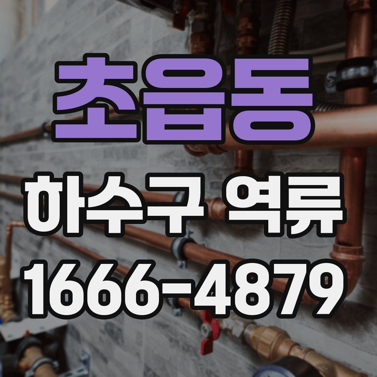 초읍동 하수구 역류