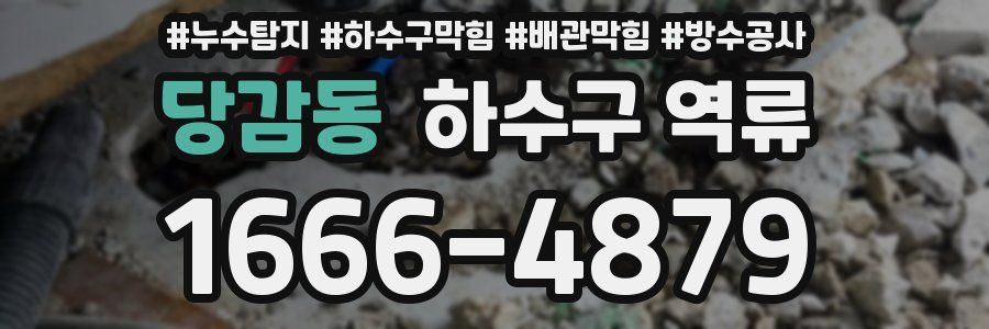 당감동 하수구 역류