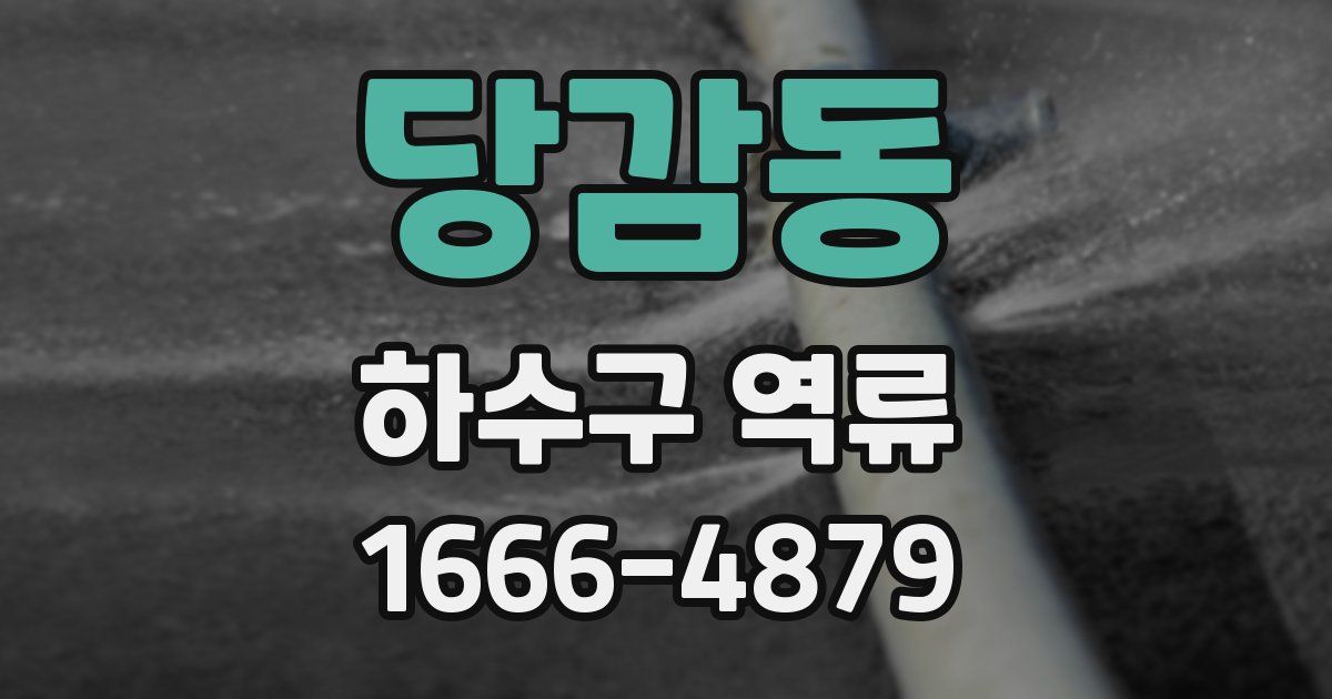 당감동 하수구 역류