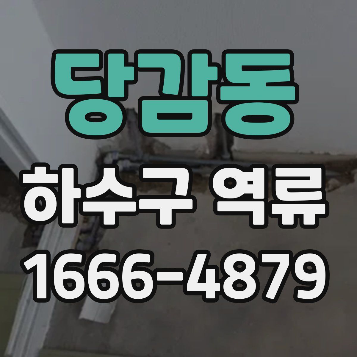 당감동 하수구 역류