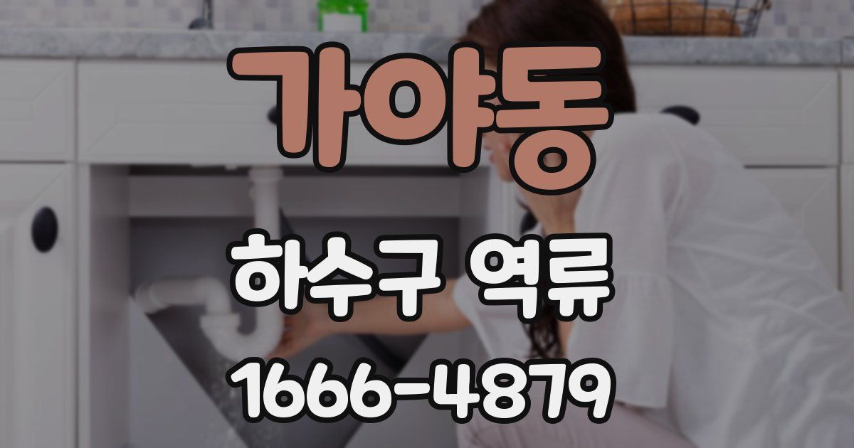가야동 하수구 역류
