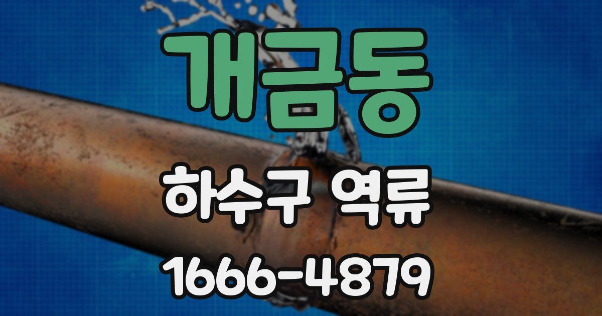 개금동 하수구 역류