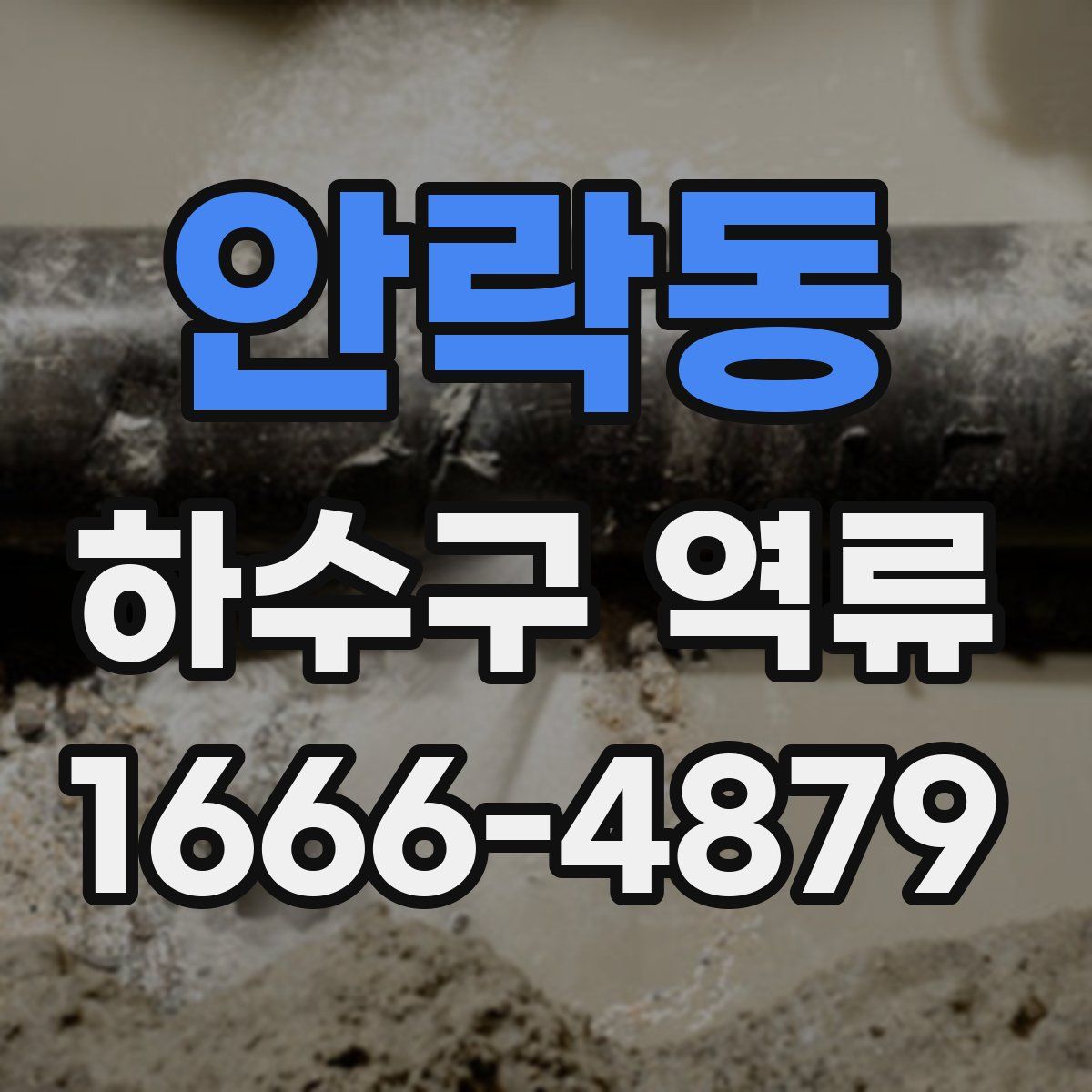 안락동 하수구 역류