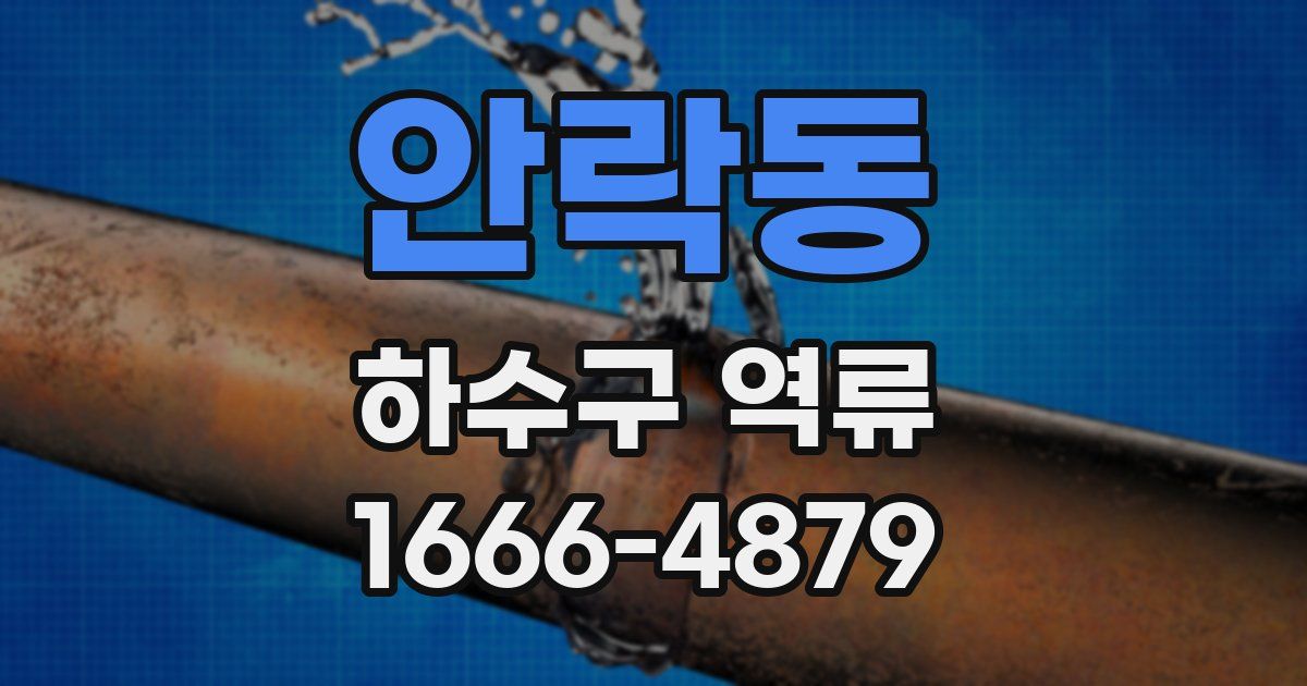 안락동 하수구 역류