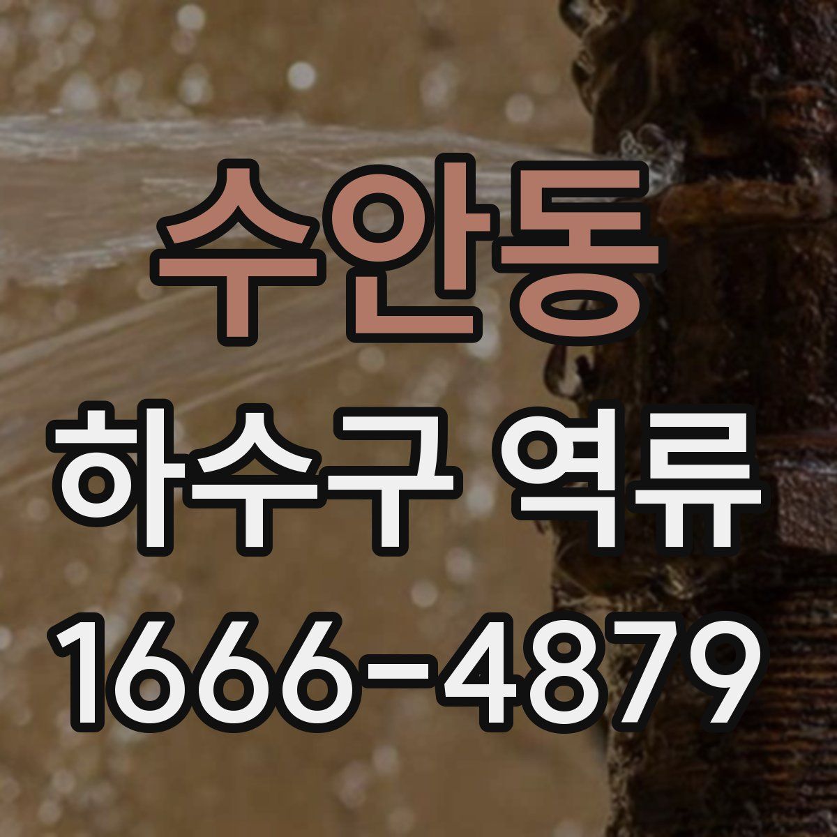 수안동 하수구 역류