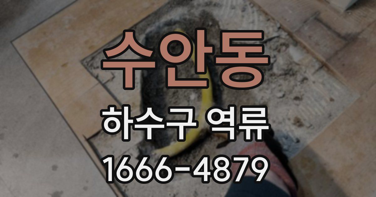수안동 하수구 역류