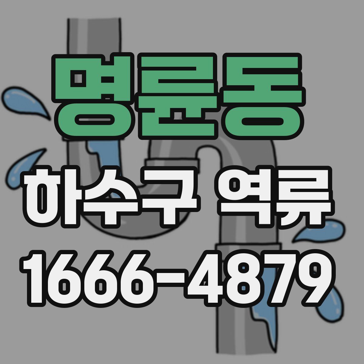 명륜동 하수구 역류