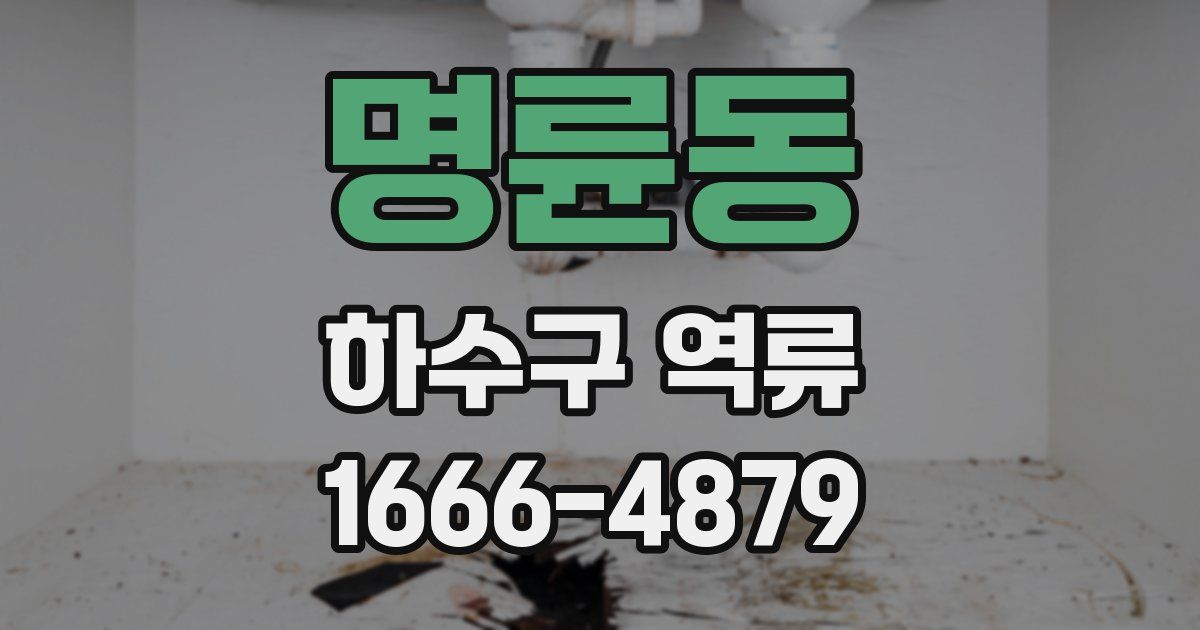 명륜동 하수구 역류