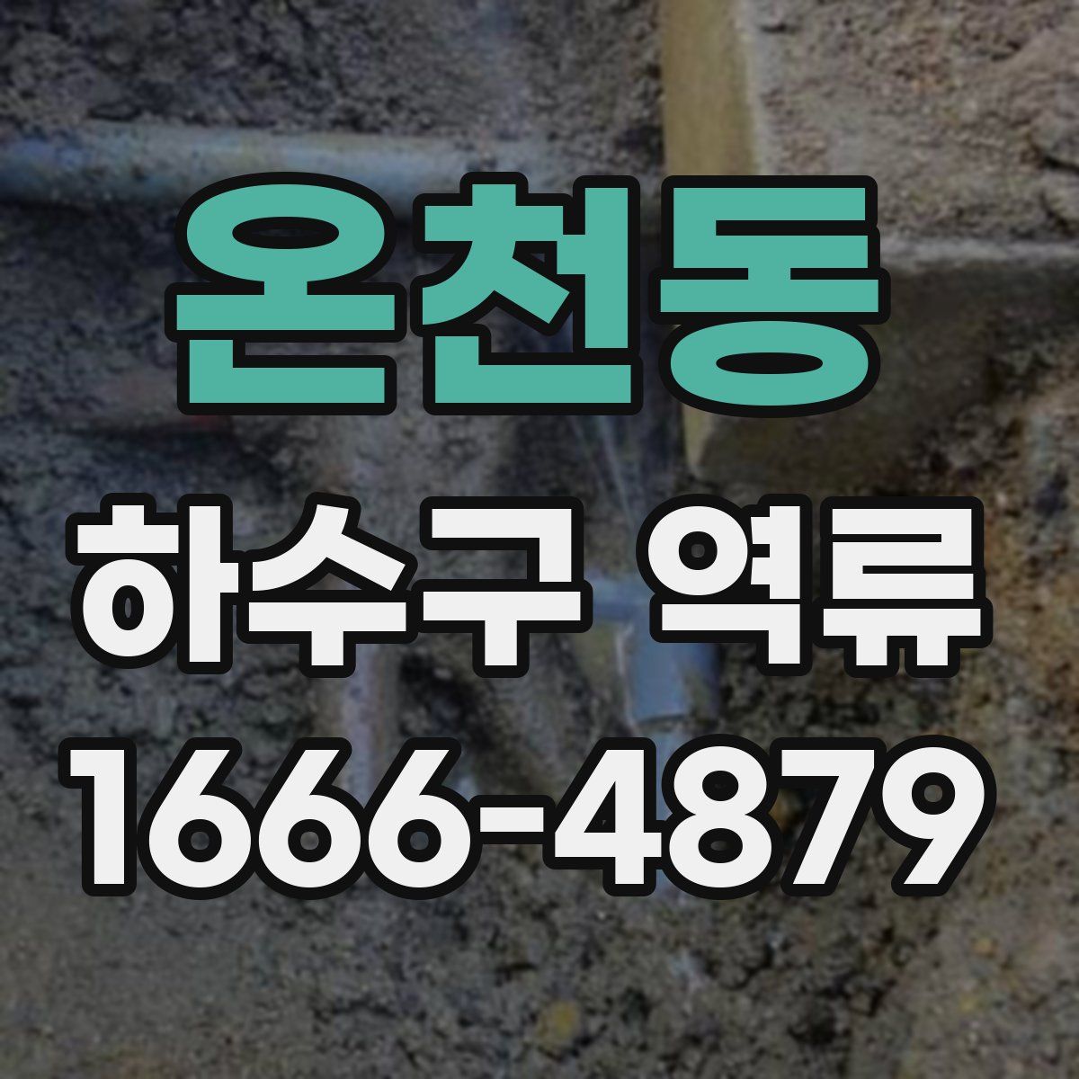 온천동 하수구 역류