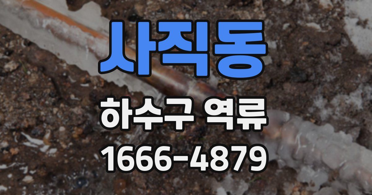사직동 하수구 역류