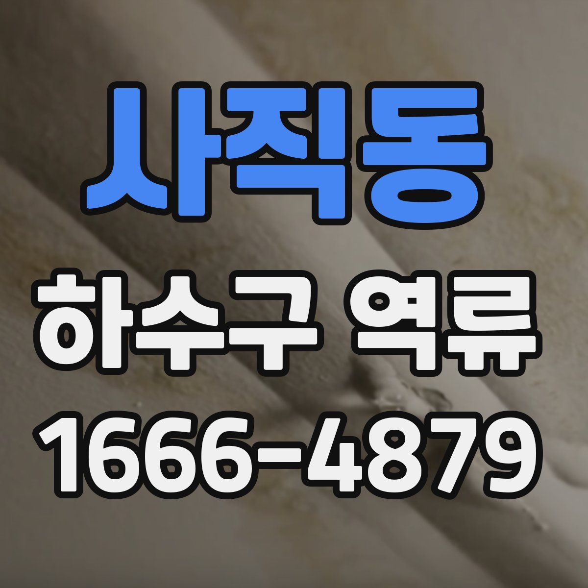 사직동 하수구 역류