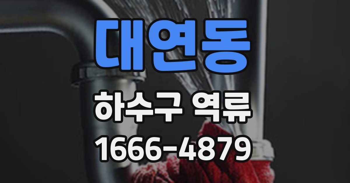 대연동 하수구 역류