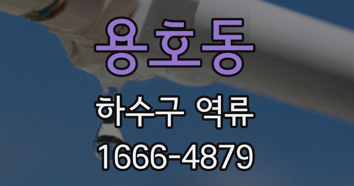 용호동 하수구 역류