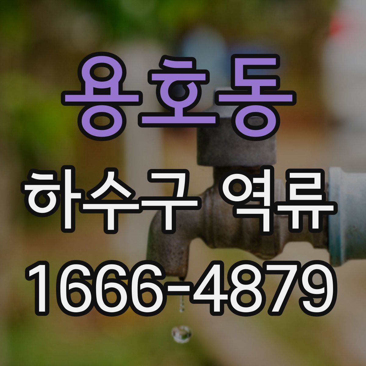 용호동 하수구 역류