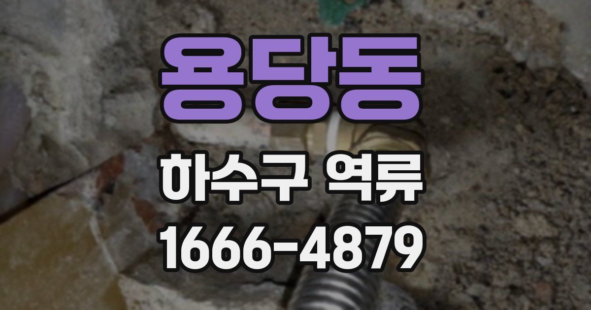 용당동 하수구 역류