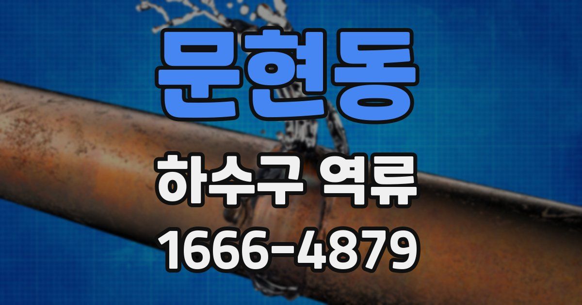 문현동 하수구 역류