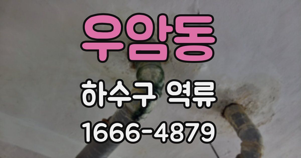 우암동 하수구 역류