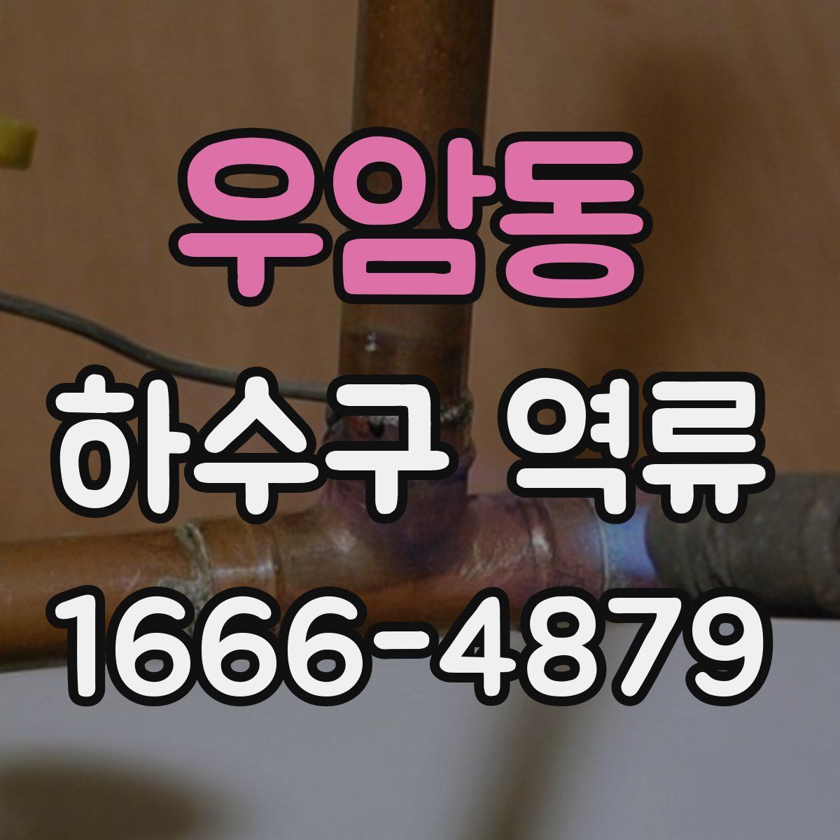 우암동 하수구 역류