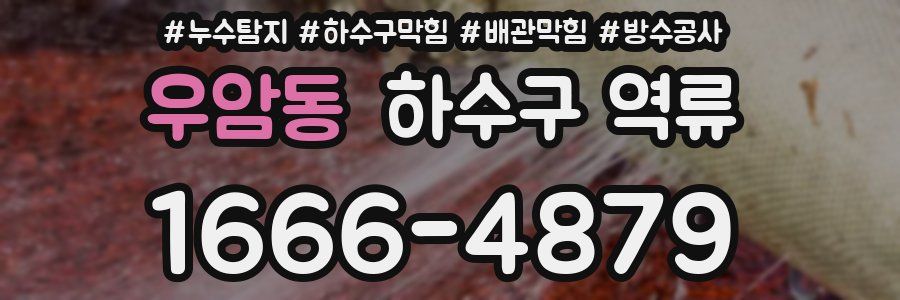 우암동 하수구 역류