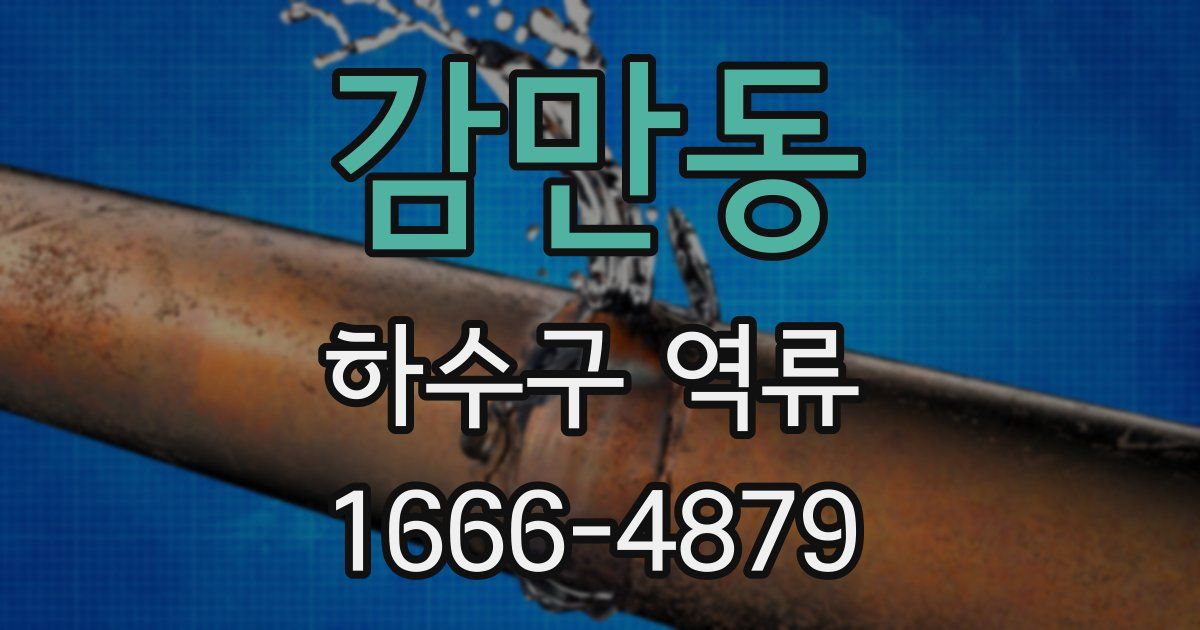 감만동 하수구 역류