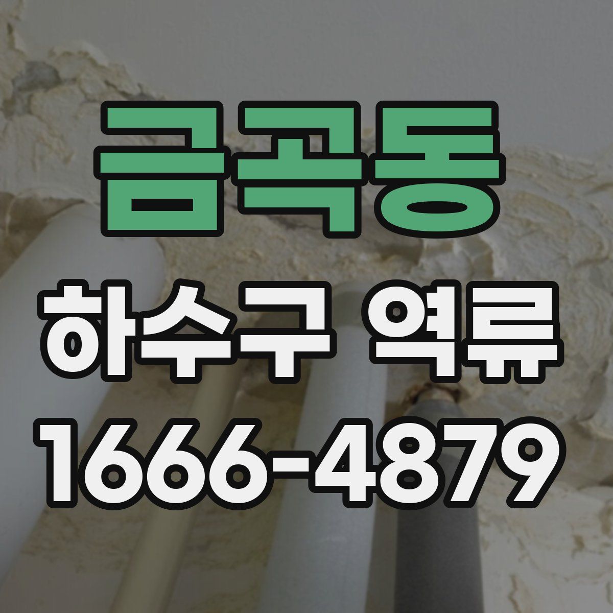 금곡동 하수구 역류